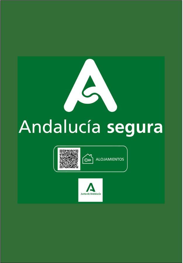 Holidays2malaga Old Town Apartament *